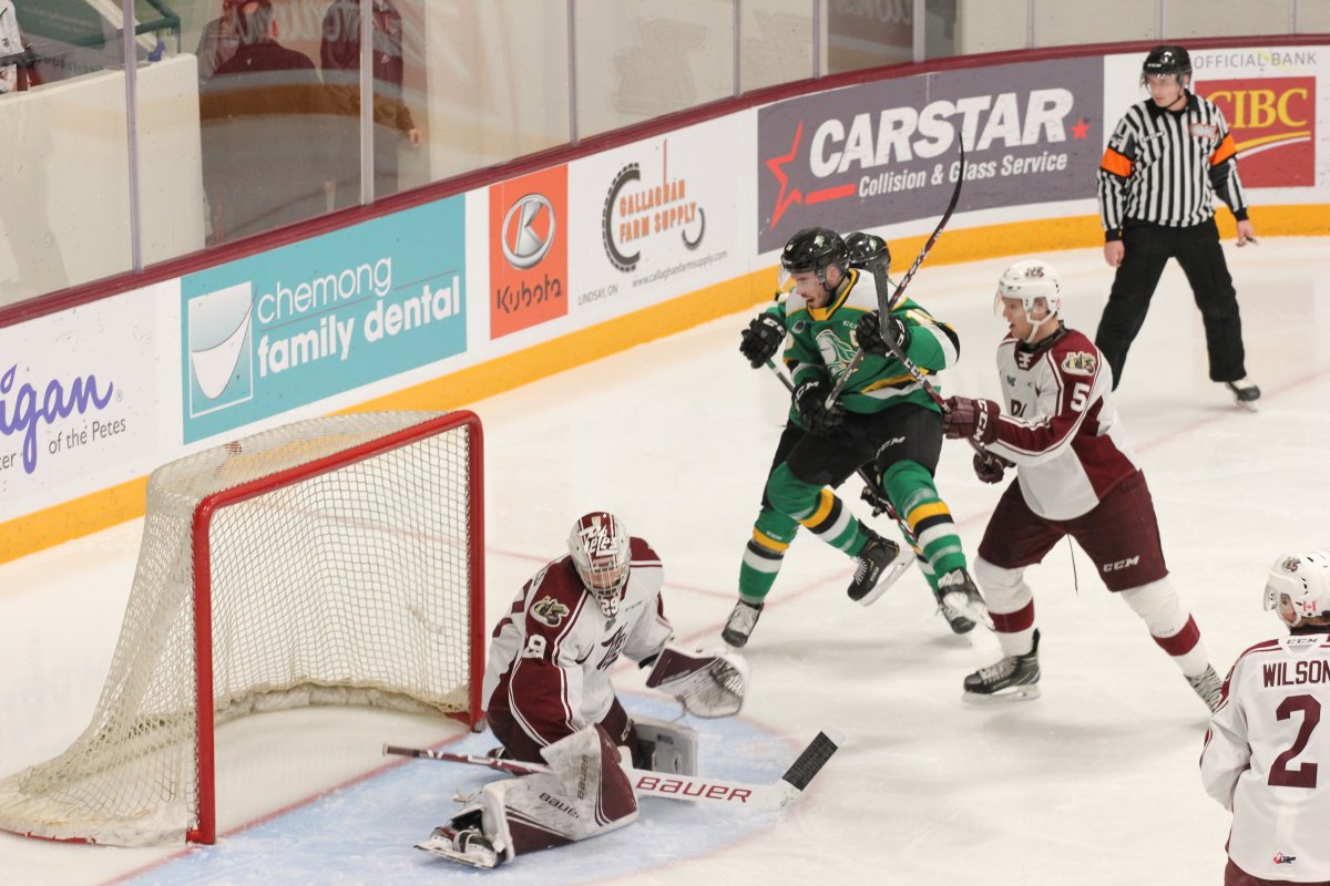 Peterborough Petes play streak-stoppers against the London Knights - image