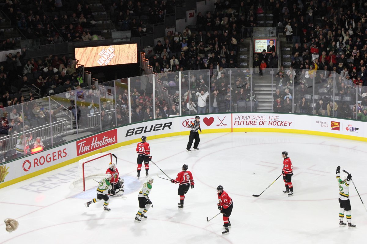 Owen Sound Attack defeat Knights on Teddy Bear toss night in London - image