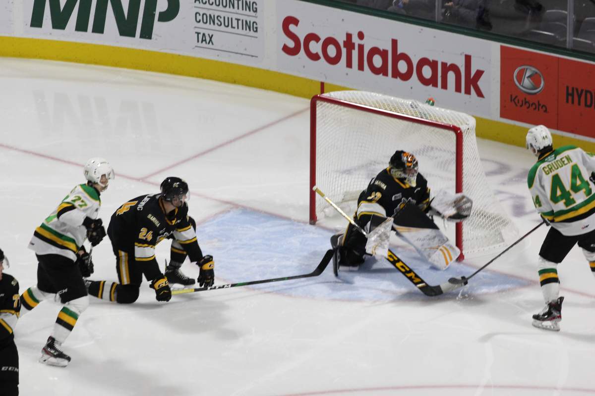 London Knights comeback falls short against the Sarnia Sting - image