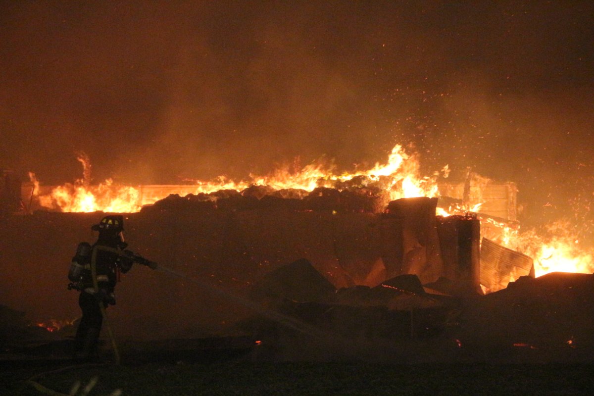 A barn fire in North Kingston, N.S., left nine cows dead early Tuesday morning.