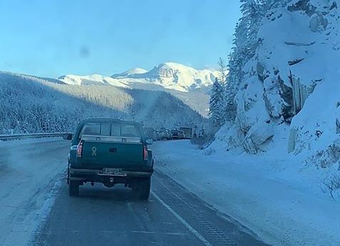 A fatal collision near Jasper, Alta. on Sunday caused traffic delays through the national park.