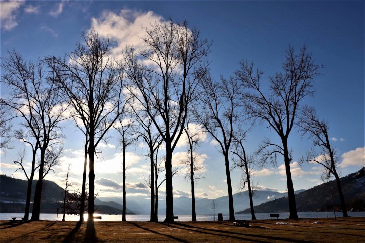 Portable toilets have been removed from some parks in Vernon.