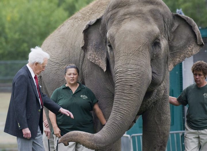 Bob Barker meets Lucy the elephant at Edmonton's River Valley Zoo on September 17, 2009. 
