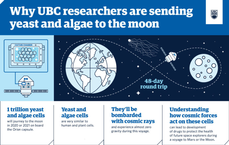 Why UBC researchers are sending yeast and algae to the moon.