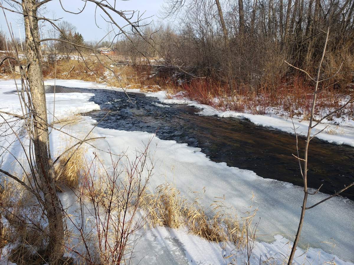 A flood watch is in effect for the Peterborough region. 