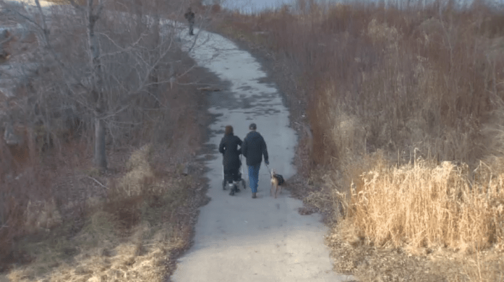 People are seen walking their dogs in the area on Saturday.