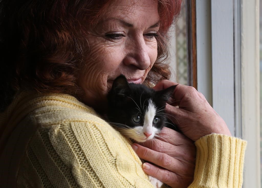 Carol Hull holds a feral kitten she rescued, at her home in Little Bay Islands, N.L, on Friday, November 15, 2019. Cat lovers across Atlantic Canada fighting for the future of wandering feral cats in a soon-to-be empty town as Newfoundland and Labrador's government proposes euthanizing the animals.