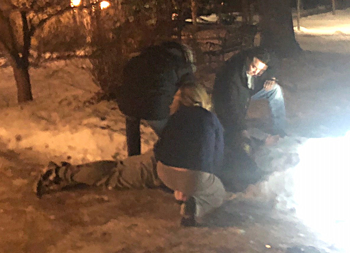 Neighbours held the suspect until police arrived.