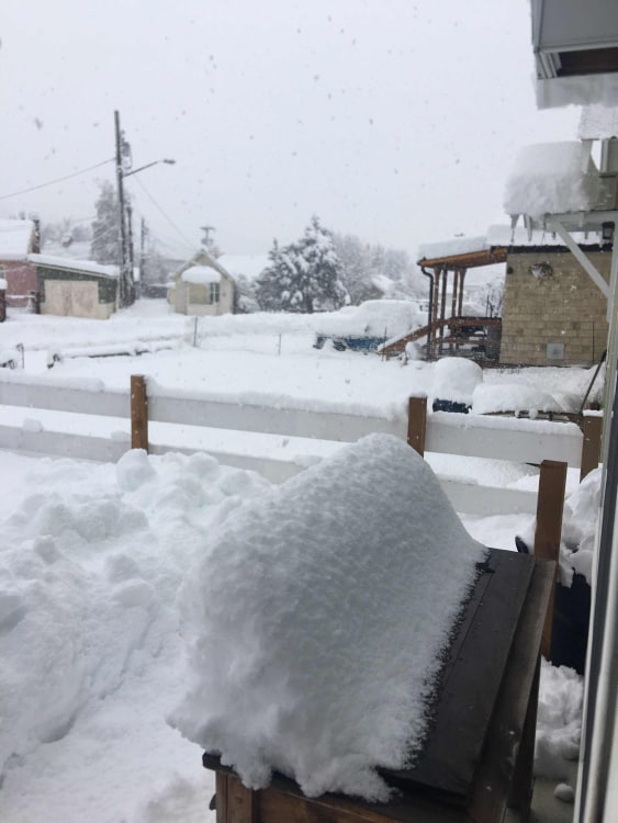 Caroline Ferguson\submitted