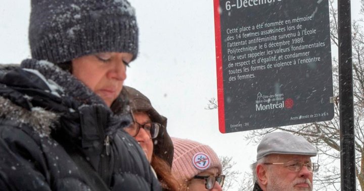 ‘Kita perlu melanjutkan aksi’: Manitoban berjaga-jaga untuk menghormati korban Pembantaian Polytechnique – Winnipeg