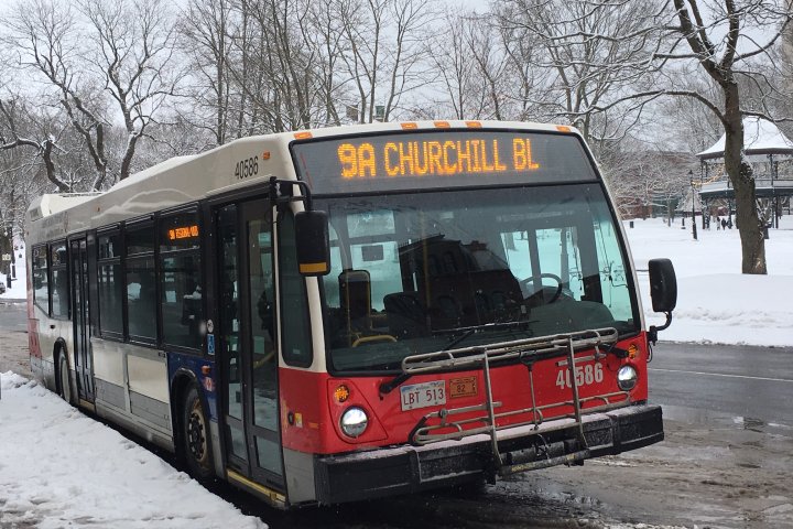 N.B. municipal transit services face uncertain 2021 after province’s missed chance to secure funding