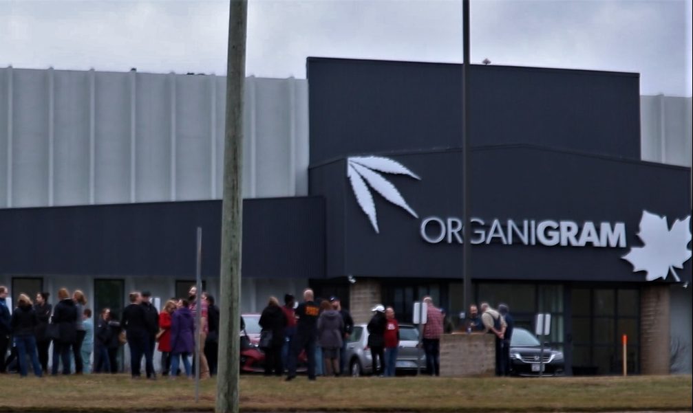 Employees stand outside the Organigram plant in Moncton after a small fire prompted an evacuation. 