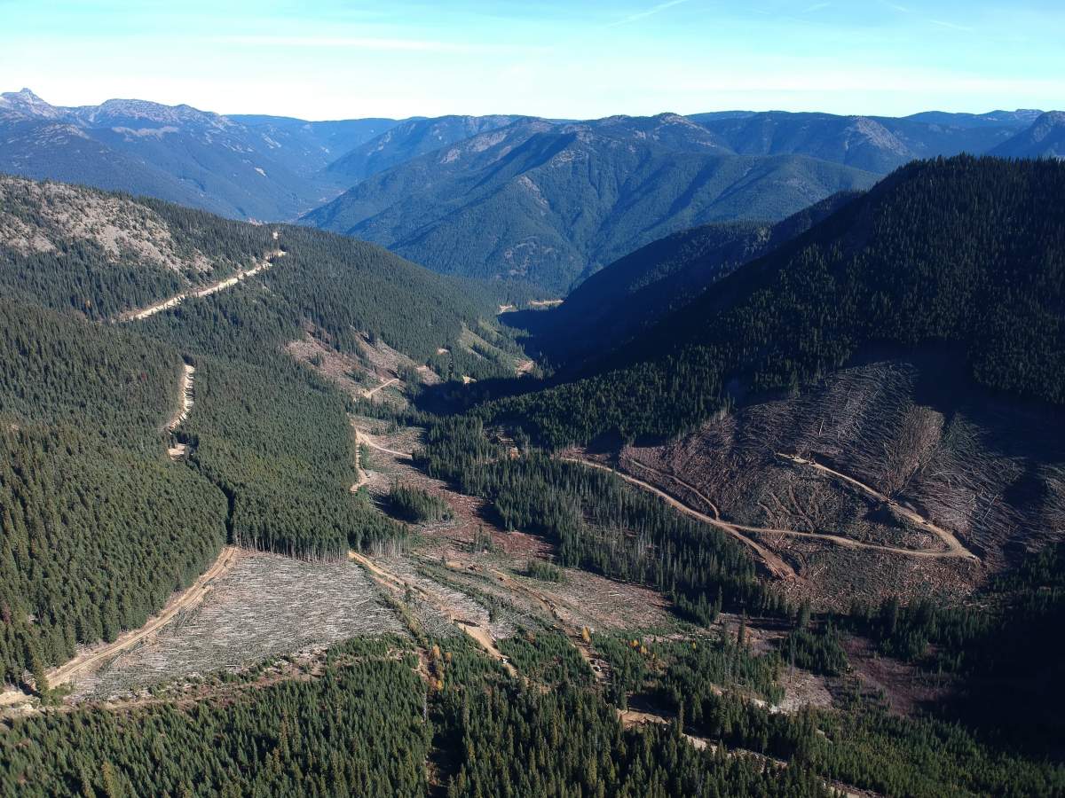 A section of the Smitheram Valley within the Donut Hole, or Silverdaisy, area in the Skagit River Valley, where B.C. loggers have held operations in 2004 and 2018.