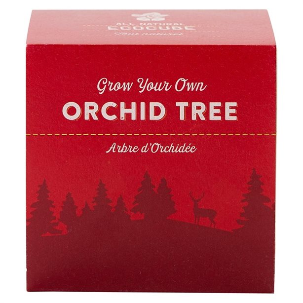 Still scrambling for gifts? Here are your best last-minute options - image