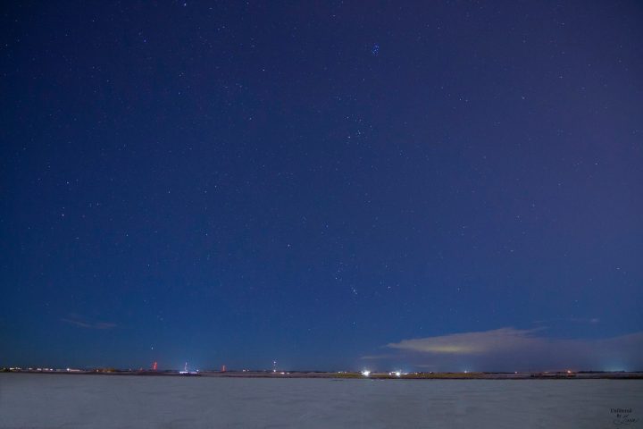 Photographer Tara Magee said the light pollution from the proposed freeway will damage the Swale’s ecosystem.