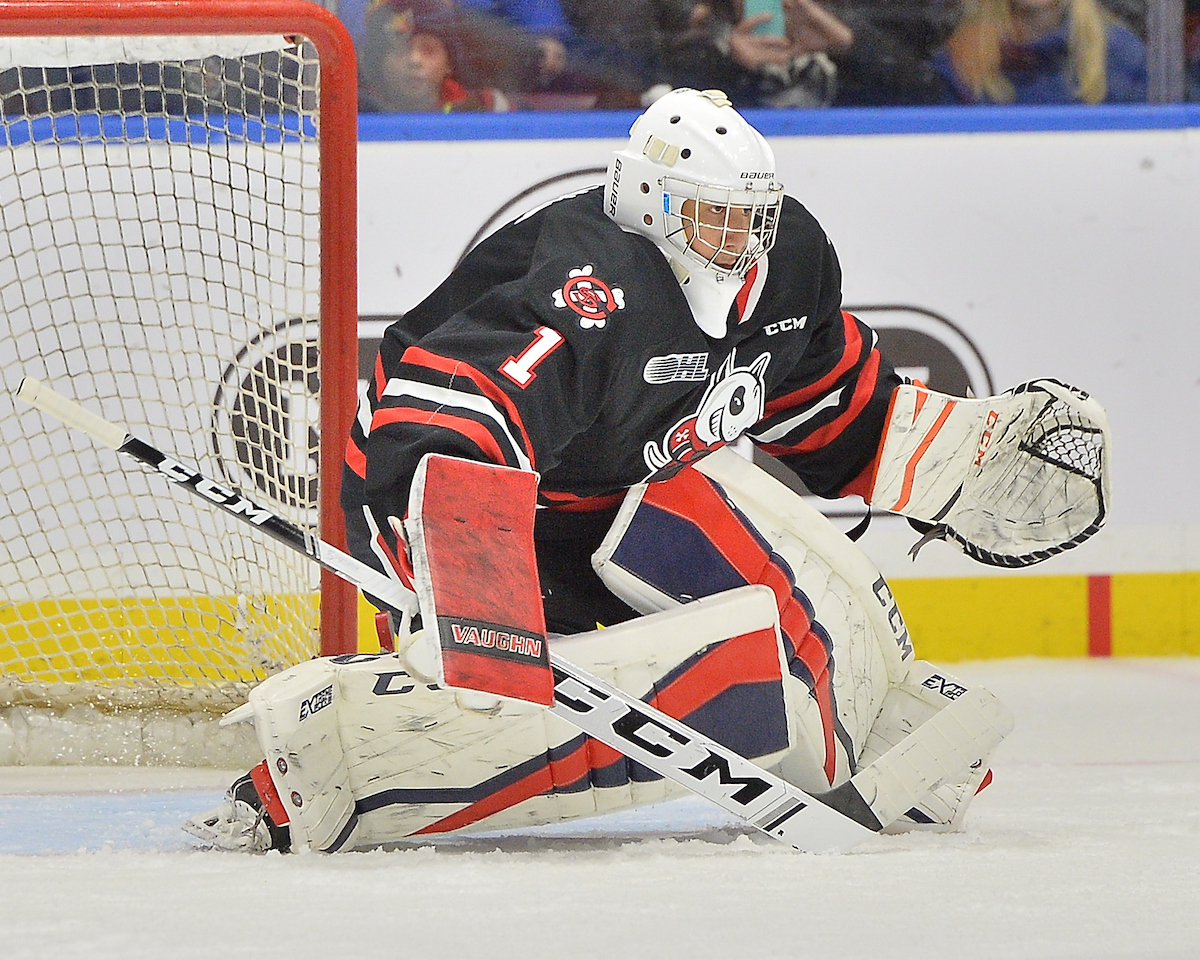 Tucker Tynan of the Niagara IceDogs. 