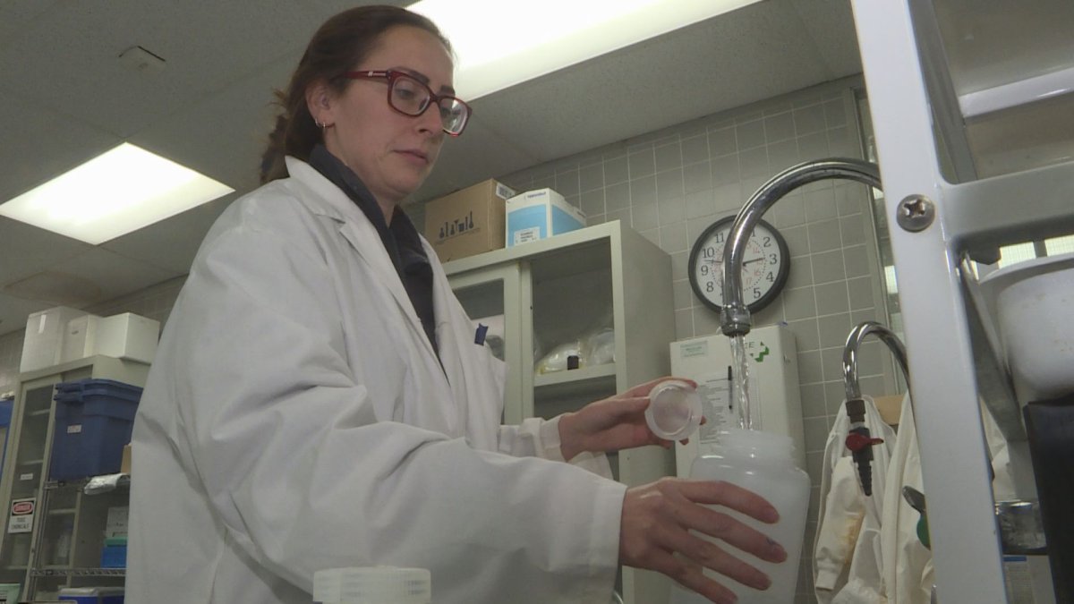 A City of Winnipeg employee fills a lead water testing kit. 