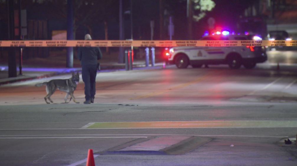 Surrey RCMP investigates what neighbours described as gunfire Thursday morning. 