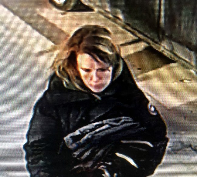 Kingston police are looking for this woman, who they say stole a stack of merchandise from a downtown store.