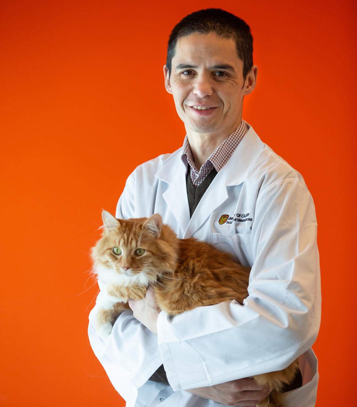 Dr. Daniel Pang published a paper in Scientific Reports about the Feline Grimace Scale, a fast, easy way to help determine how much pain a cat is feeling.