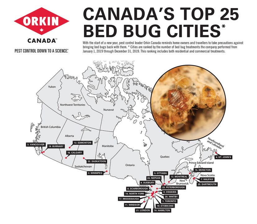 Orkin Canada’s list of top 25 bedbug cities.