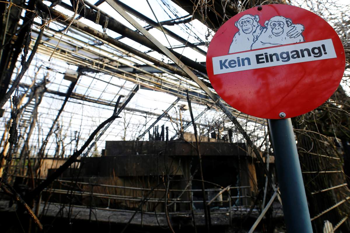 A burned monkey house is pictured in the zoo of Krefeld, Germany, January 1, 2020.