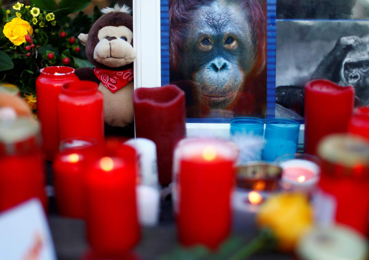 Candles and flowers are pictured outside the zoo of Krefeld after a monkey house burned down in Krefeld, Germany, January 1, 2020.