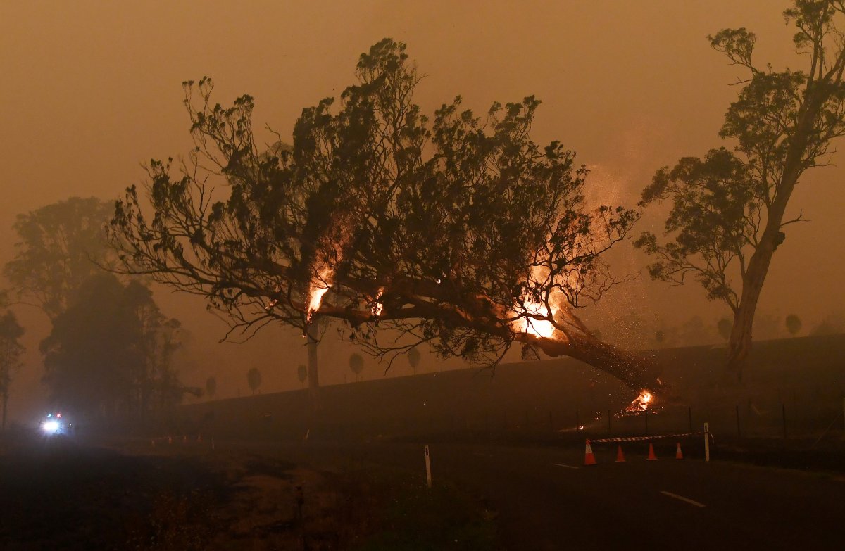 A burning gum tree is felled to stop it from falling on a car in Corbago, as bushfires continue in New South Wales, Australia, Jan. 5, 2020.