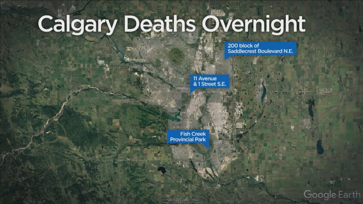 Calgary police homicide investigators probe 5 unrelated deaths in 1 ...