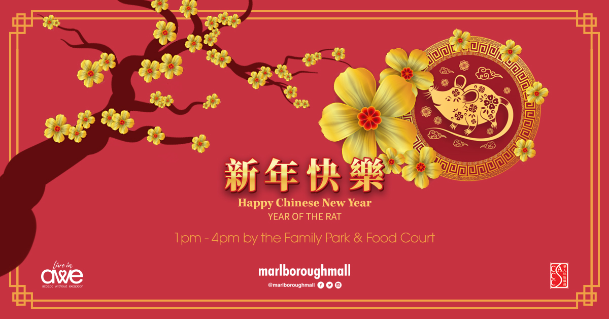 Marlborough Mall: Chinese New Year 2020 - image
