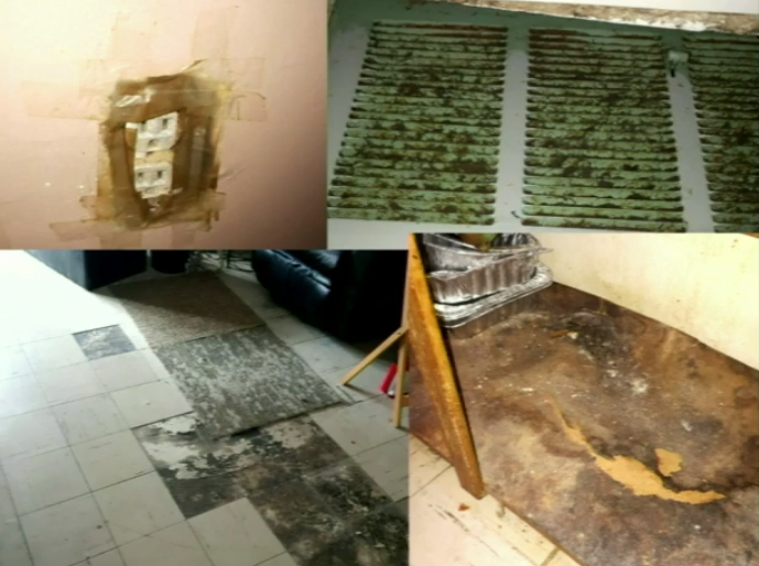 A series of photos of some living conditions in rental units in Hamilton, as shown to the city's planning committee by tenant advocacy group ACORN.