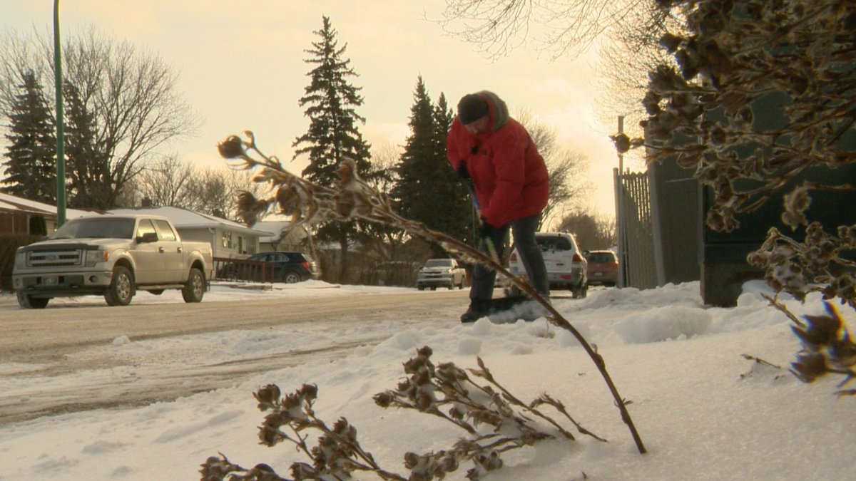 The Adopt a Sidewalk program aims to help 100 Paratransit customers in Regina this winter.