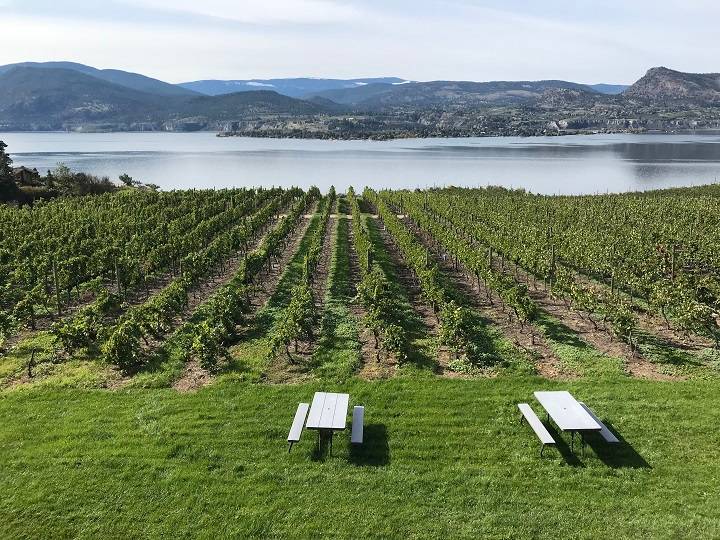 New B.C. program aims to help farmers adapt to climate change - Vimarsana News
