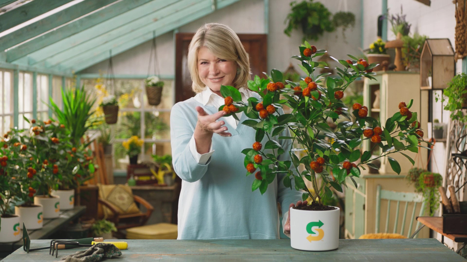 Martha Stewart Interview On Snoop Dogg And Their Super Bowl Commercial