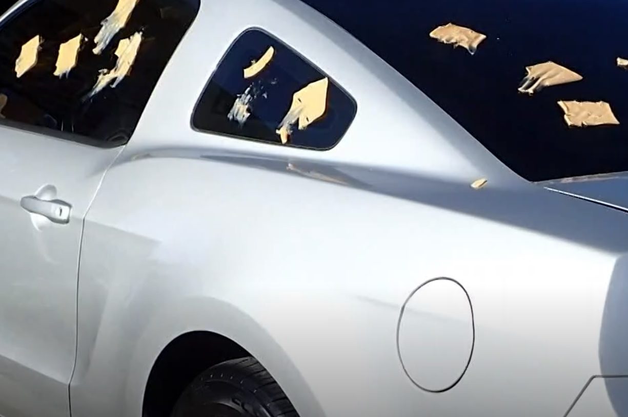 Gouda idea Police pull fingerprints off cheese slice in Texas mischief