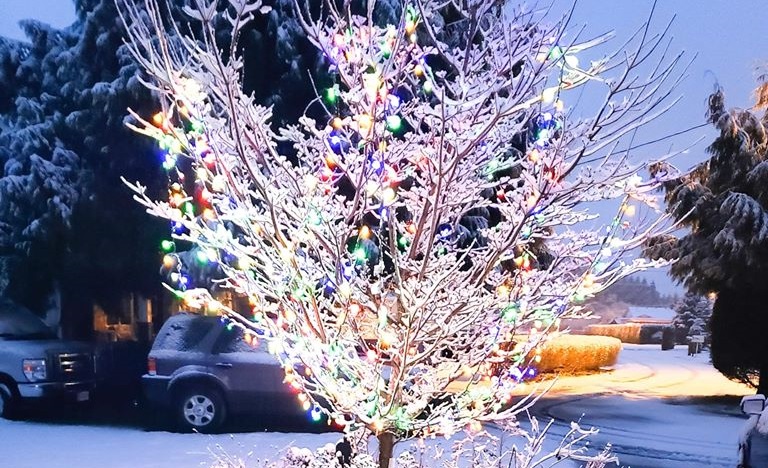 Lights and snow in Chilliwack on Monday, Jan. 13, 2020.