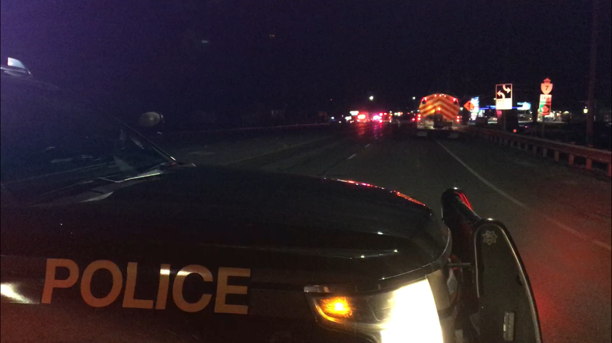 OPP say a pedestrian died after being struck by a vehicle on Hwy. 7 just outside Peterborough on Friday night.