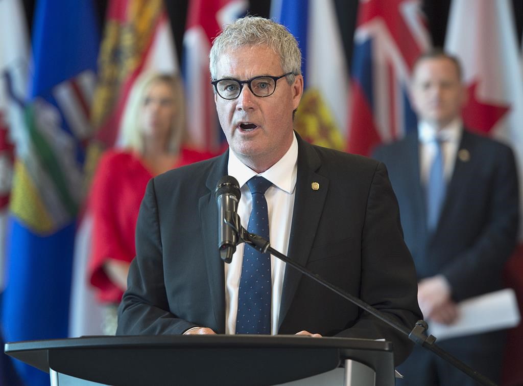 Nova Scotia Environment Minister Gordon Wilson fields questions at the closing news conference of the Canadian Council of Ministers of the Environment meeting in Halifax on Thursday, June 27, 2019.