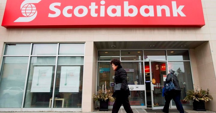 Scotiabank memulai pendapatan bank besar dengan kenaikan dividen – Nasional