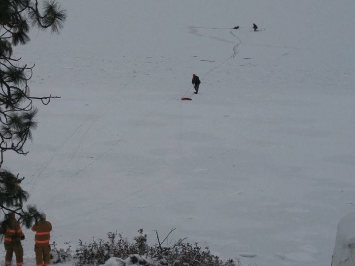 Firefighters rescued a deer from Skaha Lake on Saturday morning.