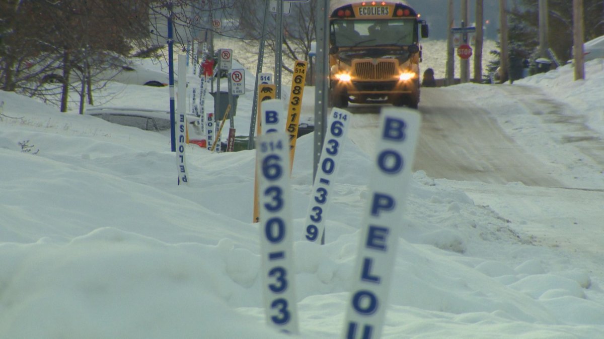 West Island snow-removal service Bo Pelouse officially filed for bankruptcy with federal regulators on Jan. 20, 2020.