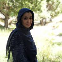 Sajedeh Saraeian, Incoming MSC student at Chemical Engineering