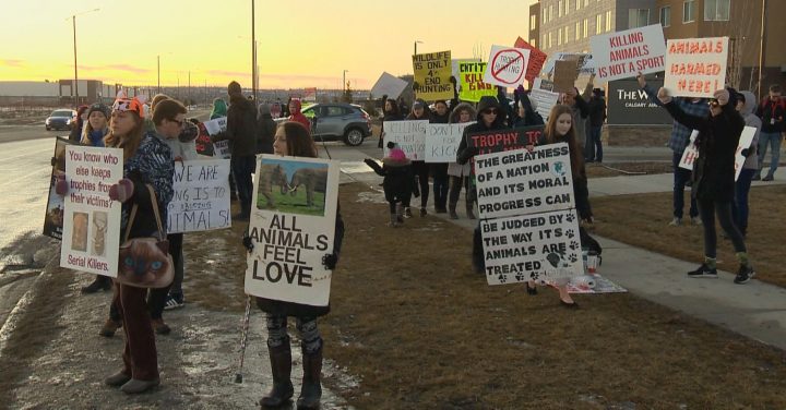 Protesters gathered outside the Westin hotel by the Calgary airport on Saturday to protest a controversial elephant hunt.