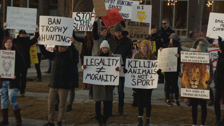 People protested a controversial elephant hunt in Calgary on Saturday, Jan. 25, 2020.