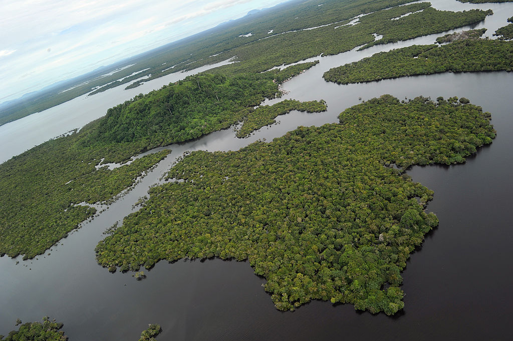 An aerial photograph taken on July 6, 2010, shows part of a wetland forest at the Danau Sentarum National Park in West Kalimantan on Indonesian Borneo island.