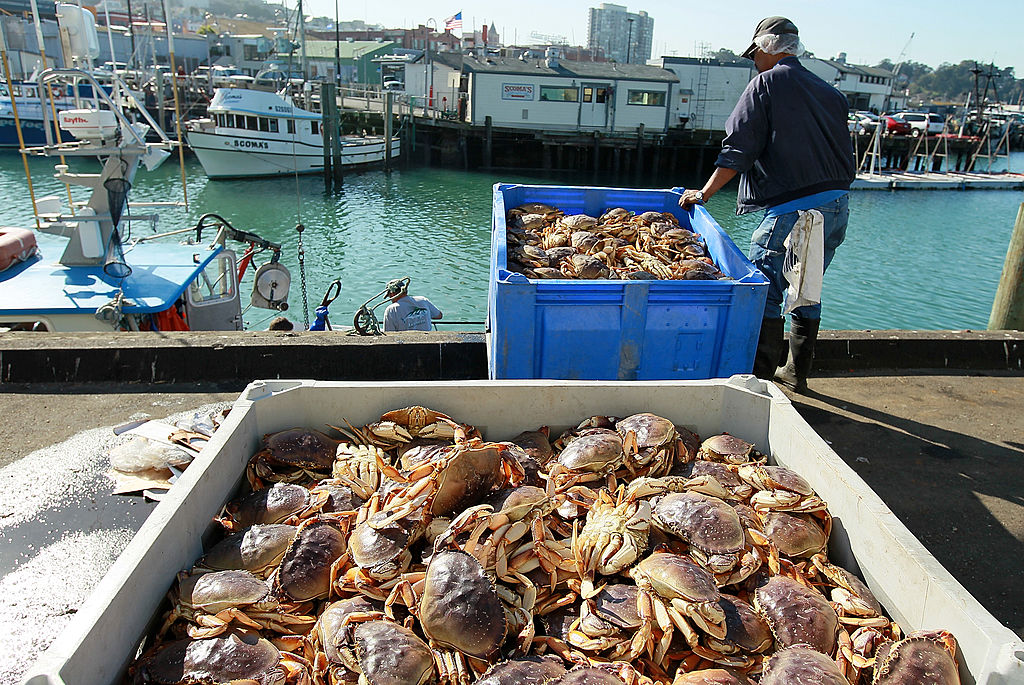 A worker moves a bin of Dungeness crabs after it was offloaded from a fishing vessel on Nov. 17, 2010 in San Francisco, California.