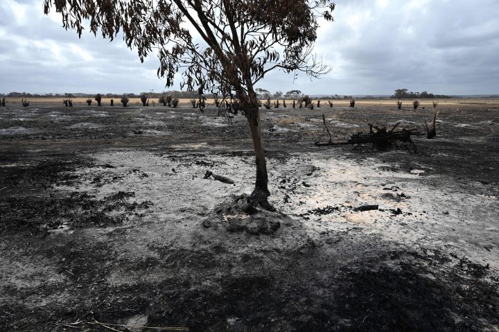 Videos Show Fire Ravaged Australia Hit With Golf Ball Sized Hail Massive Dust Storm National 4642