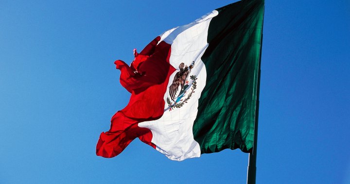 Canadians in Mexico advised to take shelter as cartel violence breaks out in streets