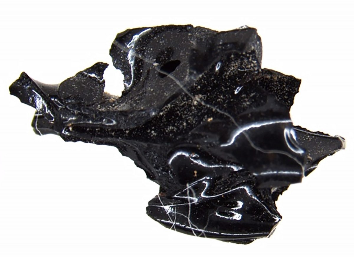 This photo shows a fragment of brain material of a victim incinerated by the ancient blast of Mount Vesuvius and turned into glass. 