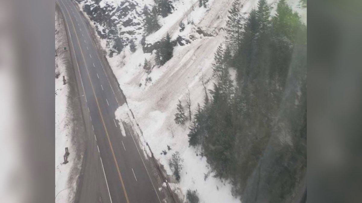 Trans-Canada Highway near Chase reopened after avalanche control work - image